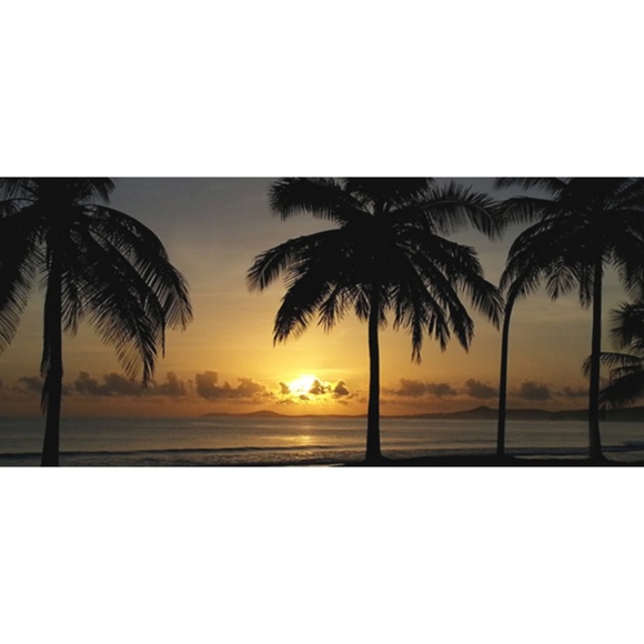 Meet your Posher, Ms. Betty ๐ - Picture 2 of 2